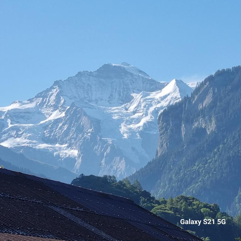 Chalet Nidus Montis