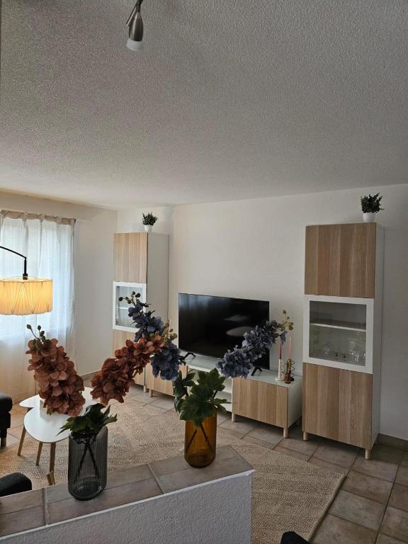 Tegerfelden Weinregion